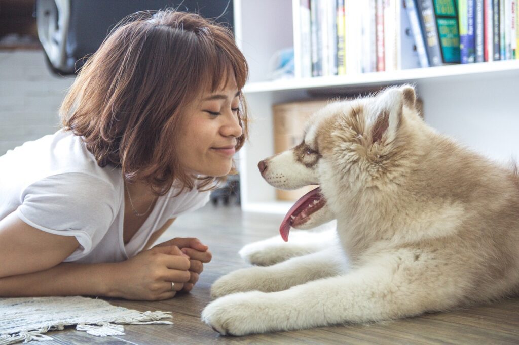 Os animais de estimação prosperam com consistência e rotina.